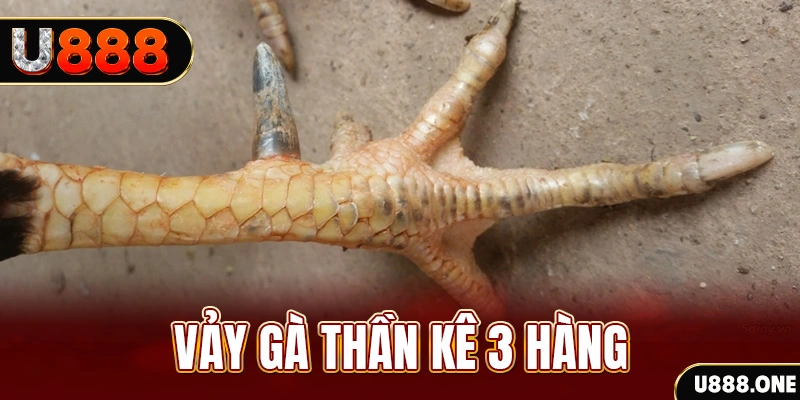 7mcn nổ hũ đổi thưởng . ai