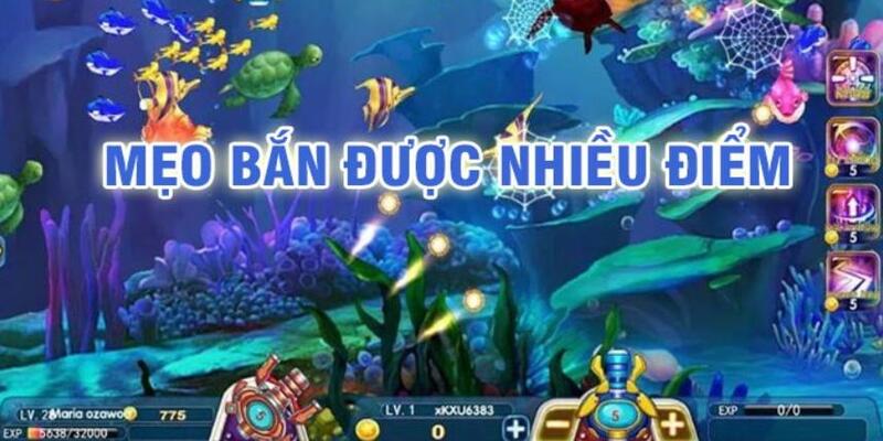 7mcn đá gà