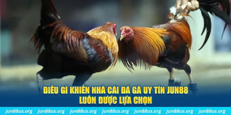 7mcn bắn cá 30