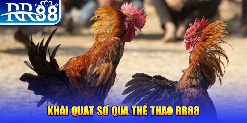 7mcn nổ hũ là như thế nào