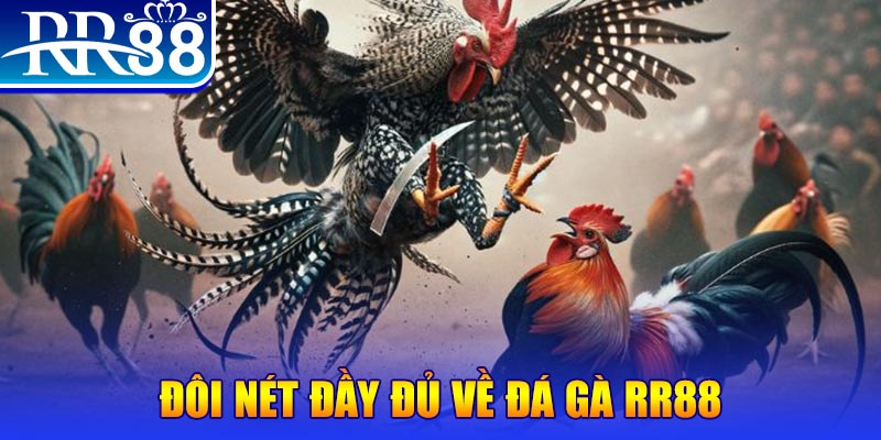 7mcn 1 slot là gì