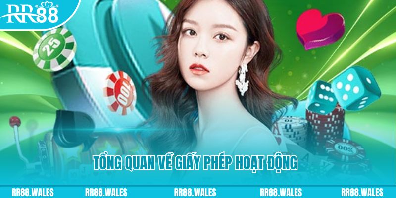 7mcn kết quả xổ số kiến thiết miền bắc
