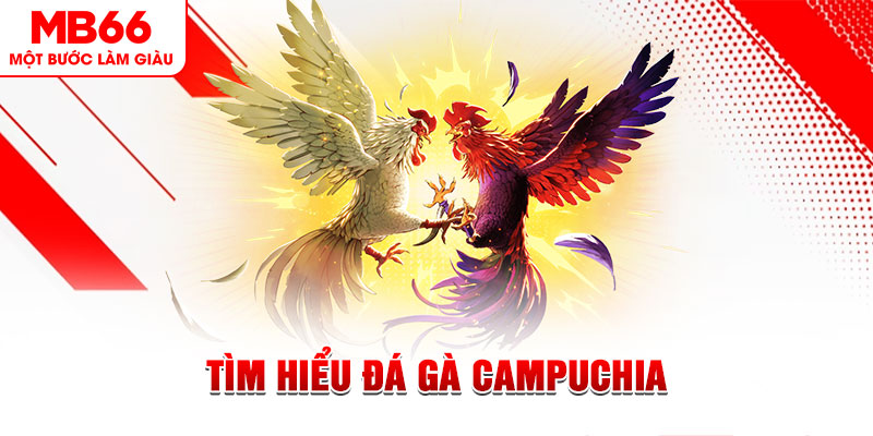7mcn tại sao không tải được nổ hũ