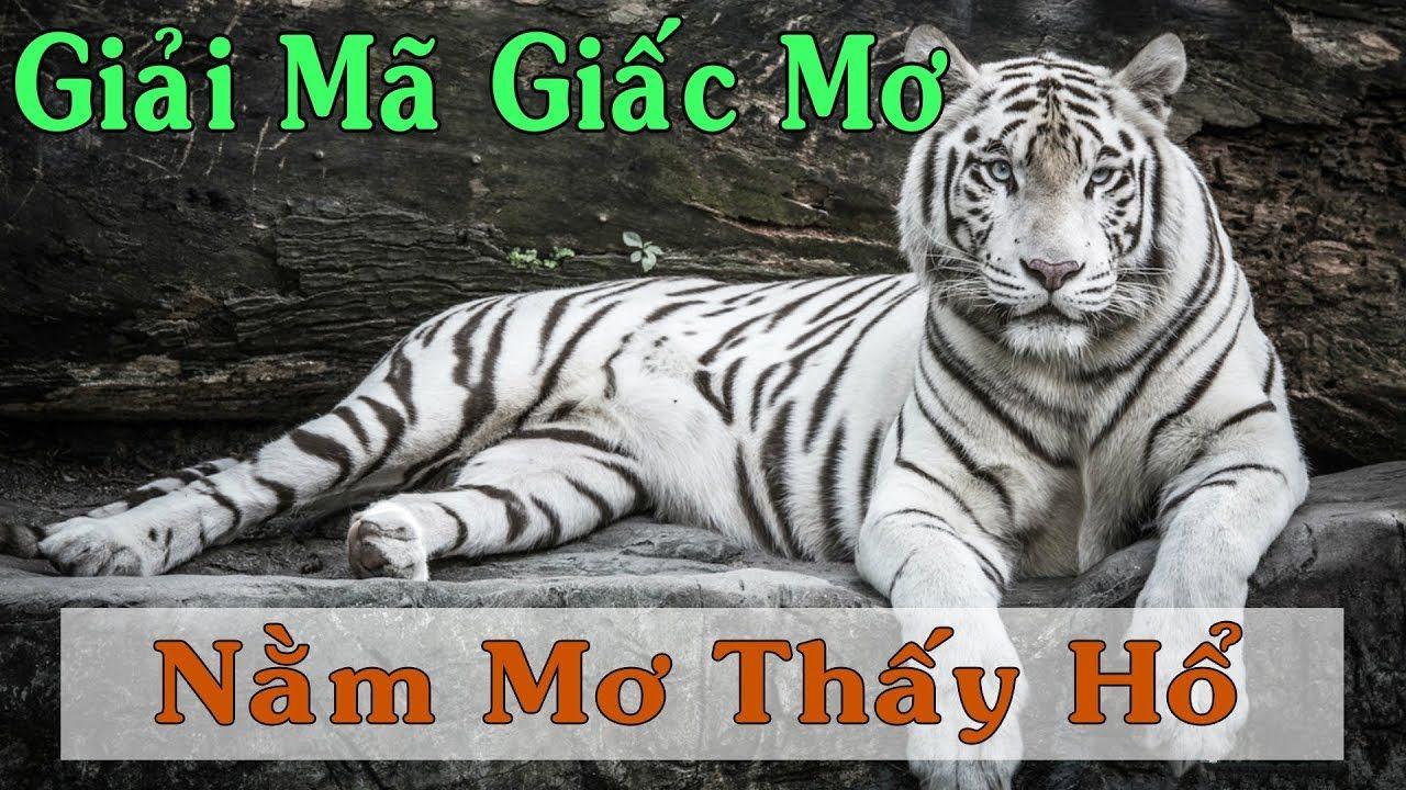 7mcn xổ số miền trung