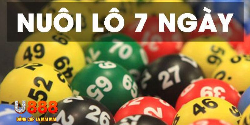 7mcn xổ số đà nẵng