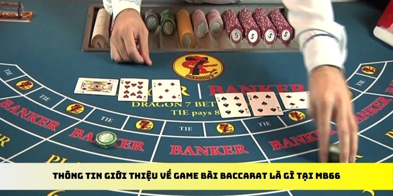 7mcn xổ số trực tiếp miền bắc
