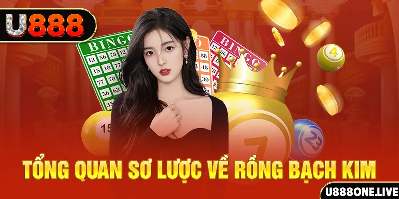 7mcn how to win at slot machines