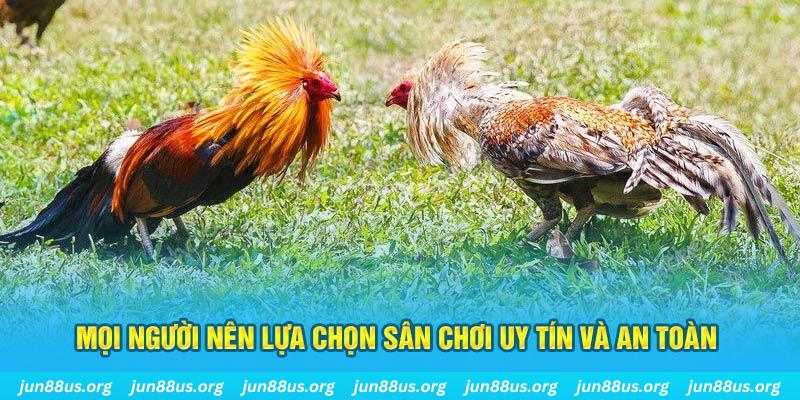 7mcn hơn cả bạn bè