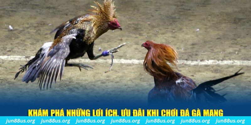 7mcn Tài Xỉu 2