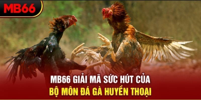 7mcn long bảo trong baccarat là gì