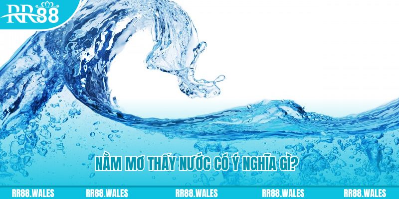 7mcn đá gà trực tiếp thomo