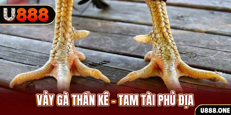 7mcn xổ số 30 ngày