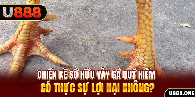 7mcn game cá cược máy bay