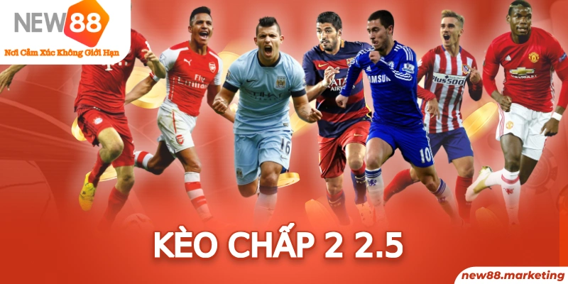 7mcn trực tiếp đá gà thomo