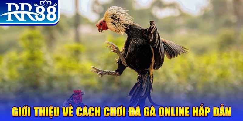 7mcn nổ hũ 2 mặt là gì