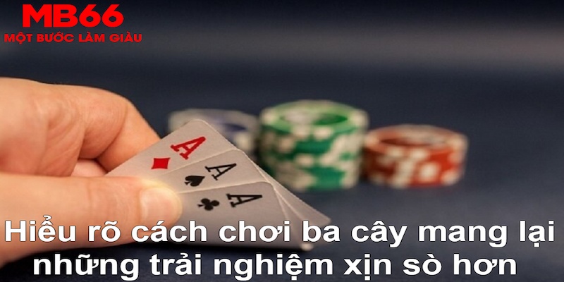 7mcn xổ số quảng trị