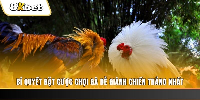 7mcn may club nổ hũ
