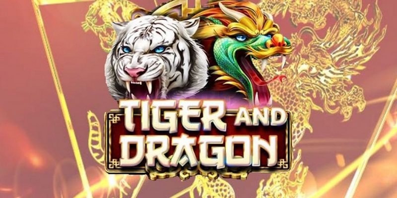 7mcn cá cược tiếng anh là gì
