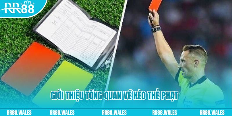 7mcn đá gà trực tiếp c1