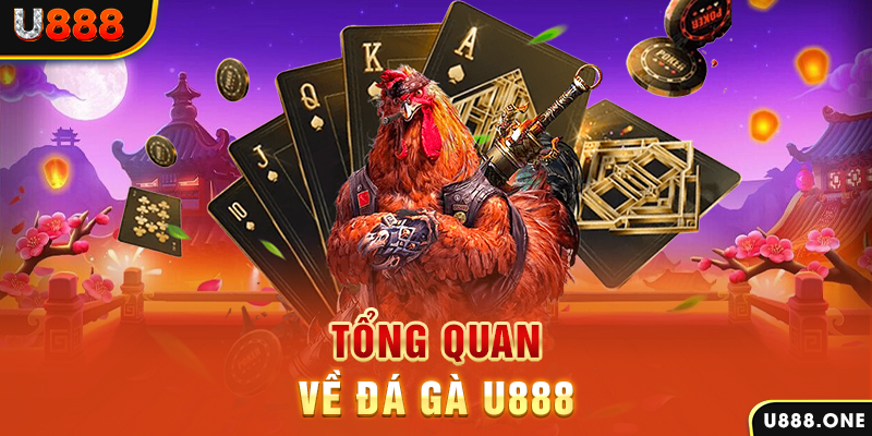 7mcn what is casino bonus wagering
