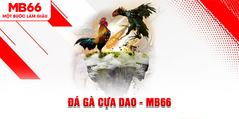 7mcn xổ số miền bắc thứ năm hàng tuần